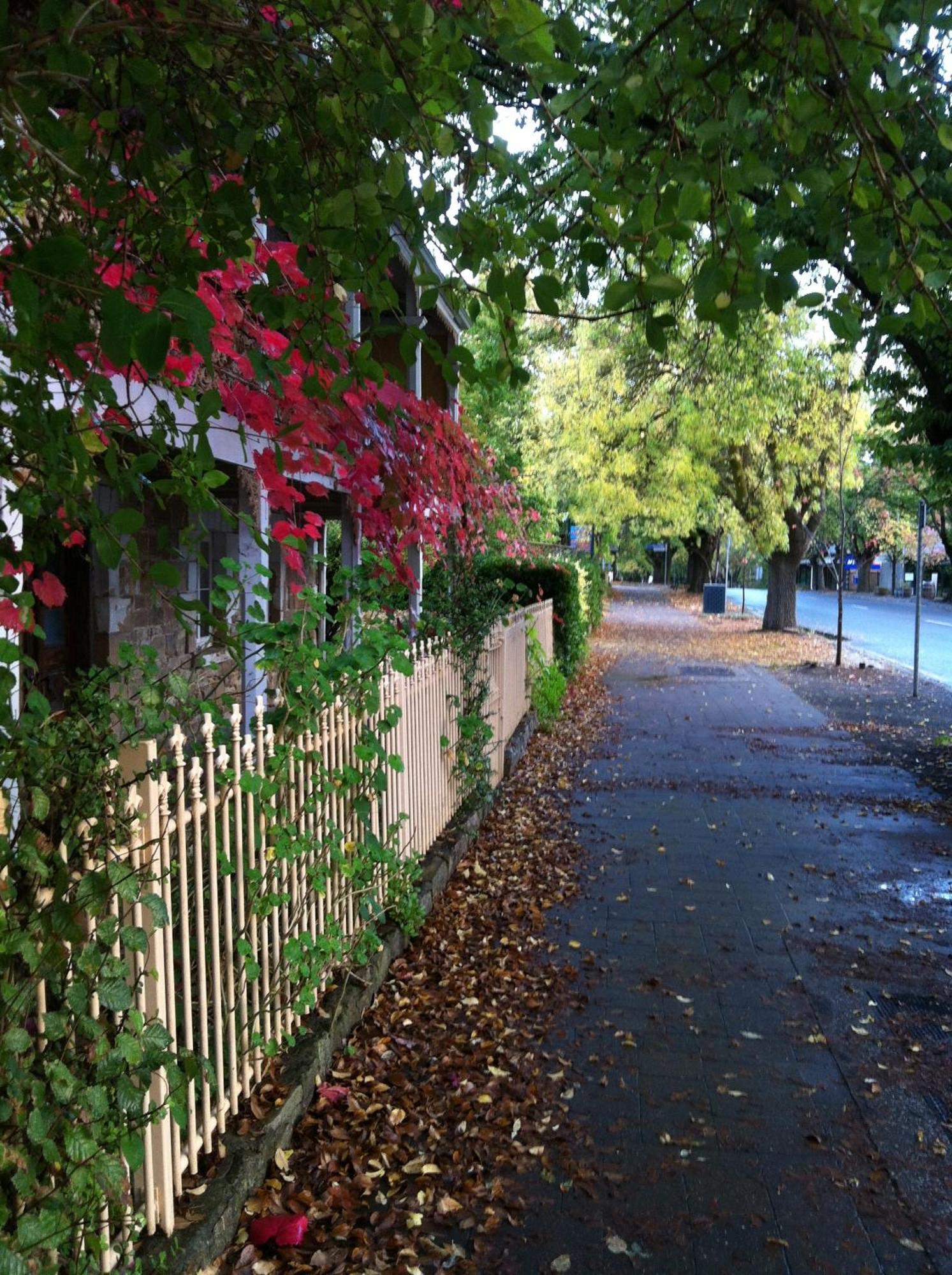 Amble At Hahndorf Acomodação com café da manhã Exterior foto